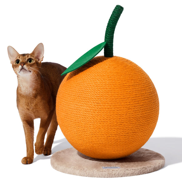 Orange Delight Cat Scratcher