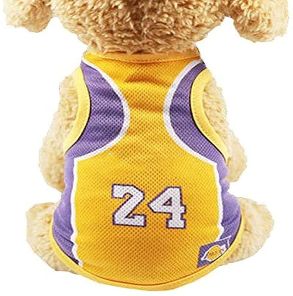 Pup Team Basketball Vest