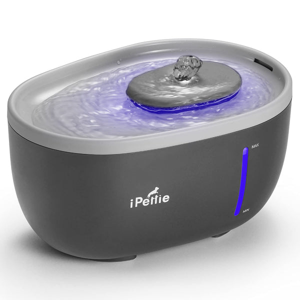Avocado Quiet Pet Water Fountain 67oz with LED