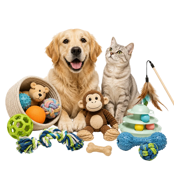 Toys & Accessoires