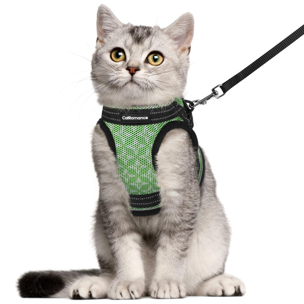 CatRomance Escape-Proof Harness Set - Green