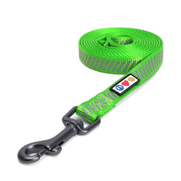 Pawtitas Reflective Comfort Leash